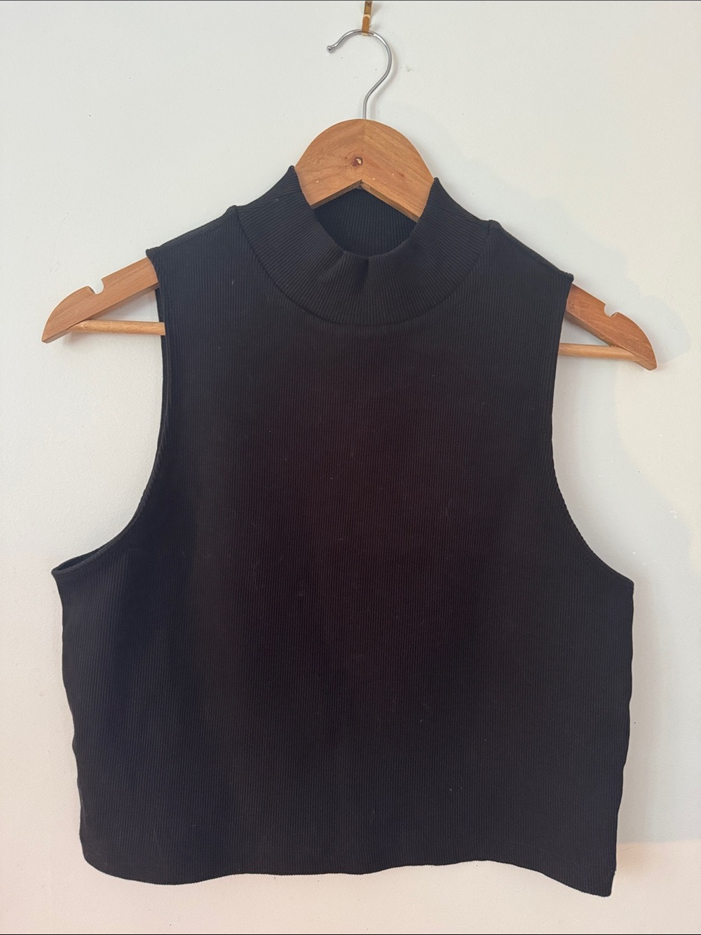 Everlane Black Ribbed Mock Neck Crop Tank